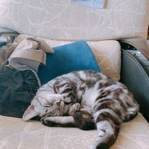 Meet your Posher, Lei